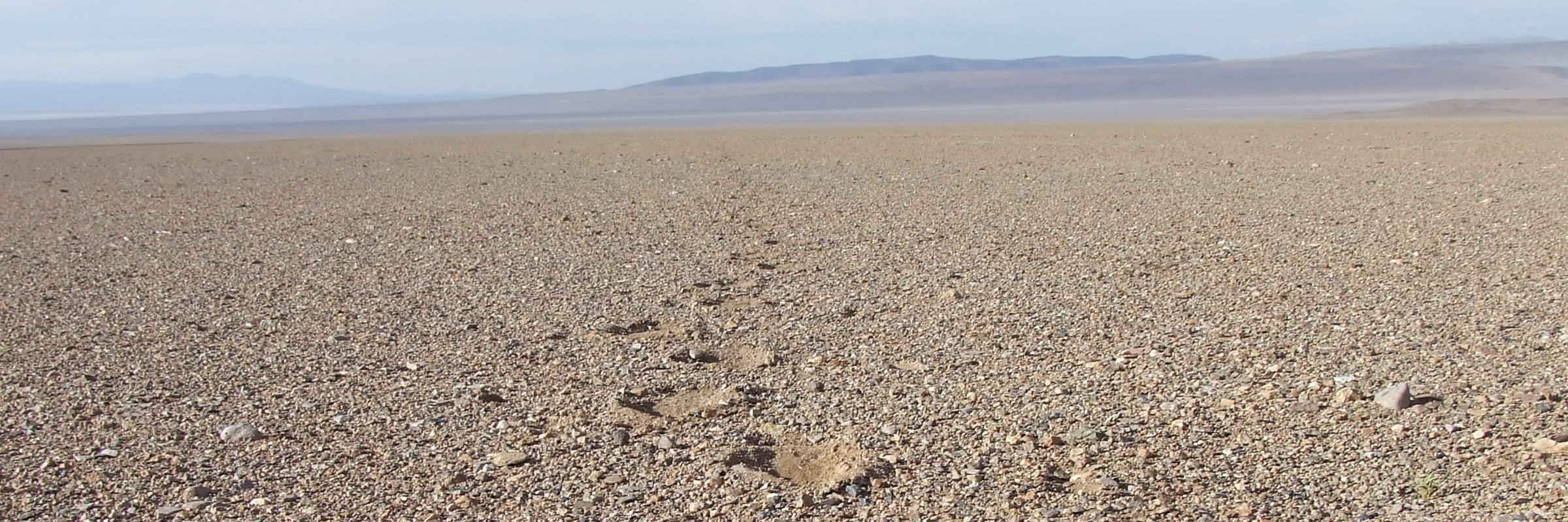 Atacama